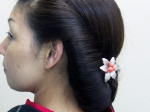 PICT0163.jpg