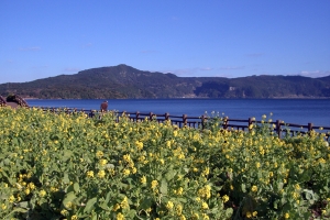 CIMG0028.JPG