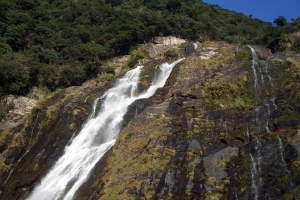CIMG0067.JPG